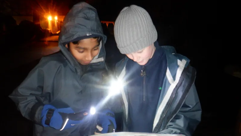 Gallery - created at 2024-02-27 21:54:15 - image 18 Gallery - created at 2024-02-27 21:54:15 - image 18