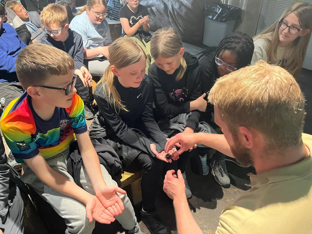 Gallery - created at 2024-06-06 15:03:55 - image 39