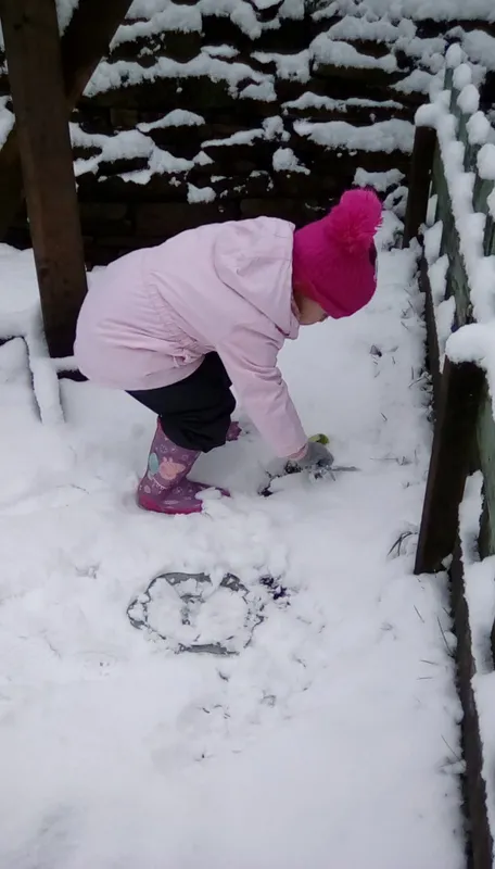 Gallery - created at 2022-06-15 11:05:50 - image 4