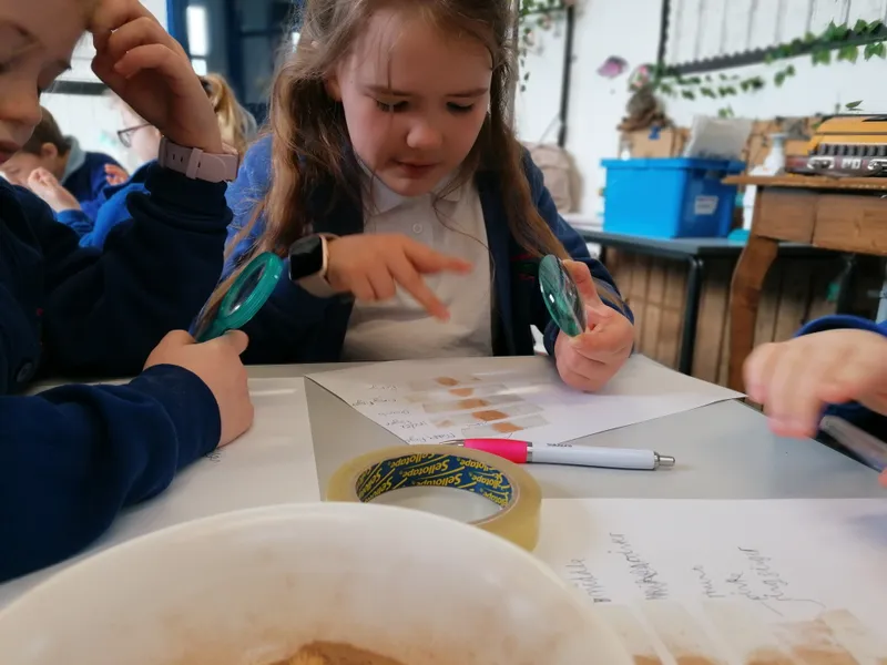 Gallery - created at 2021-03-14 14:39:05 - image 25