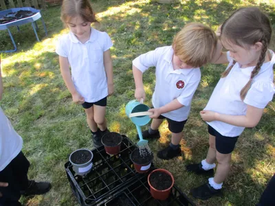 Planting - image 41