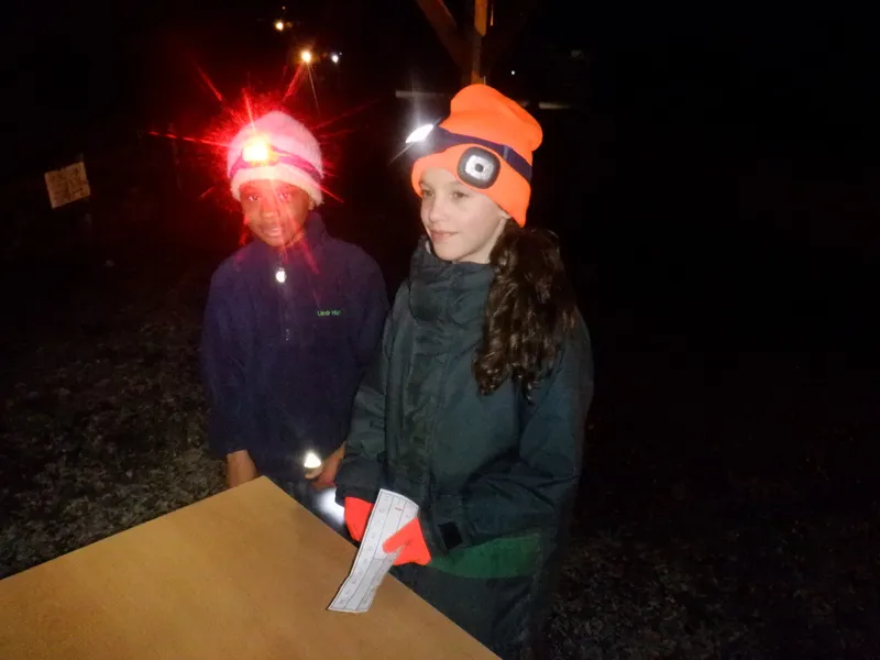 Gallery - created at 2025-02-25 21:38:38 - image 3