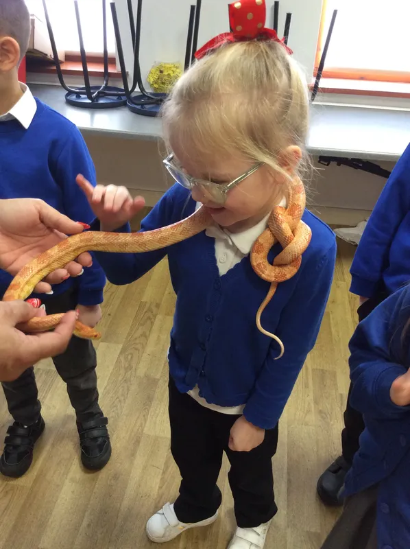 Gallery - created at 2024-02-26 17:15:57 - image 57 Gallery - created at 2024-02-26 17:15:57 - image 57