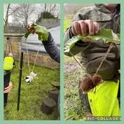 Forest School 17 - image 4 Forest School 17 - image 4