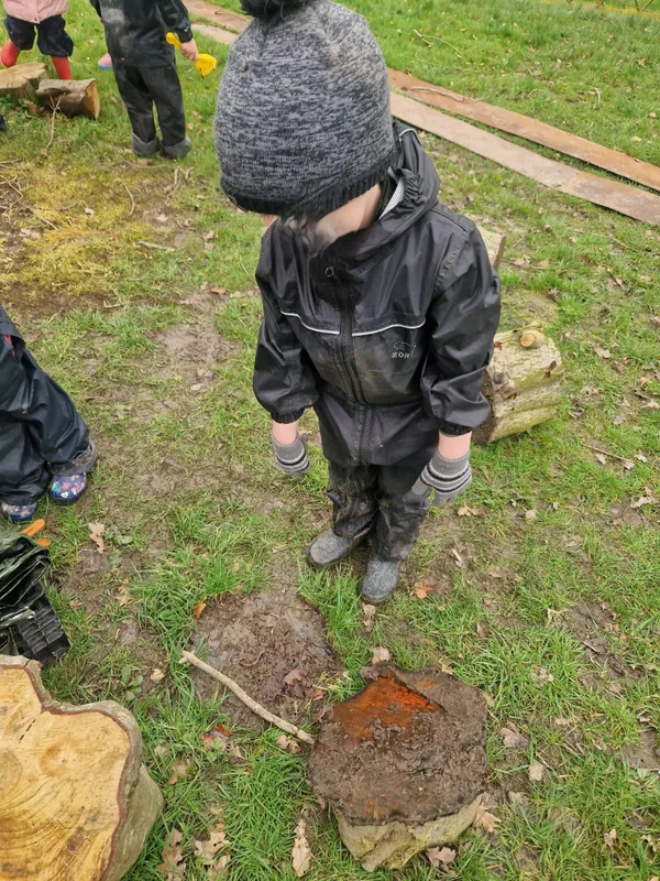 Forest School - image 2