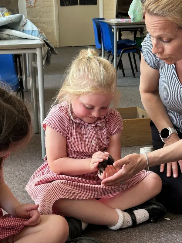 Gallery - created at 2025-05-15 20:09:46 - image 9