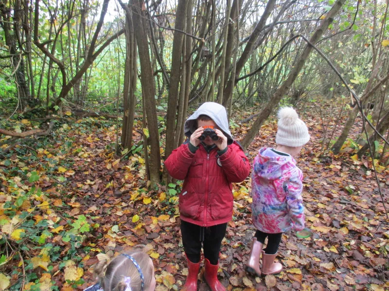 Forest School Fun Year 1 - image 24 Forest School Fun Year 1 - image 24