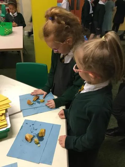 Gallery - created at 2020-11-26 10:41:30 - image 4