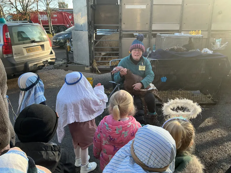 Stella farm on wheels Part 1 - image 25