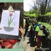 Forest School 41 - image 3 Forest School 41 - image 3
