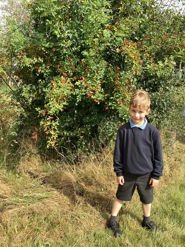 6.9.24 Looking for signs of autumn around our schools grounds - image 2 6.9.24 Looking for signs of autumn around our schools grounds - image 2