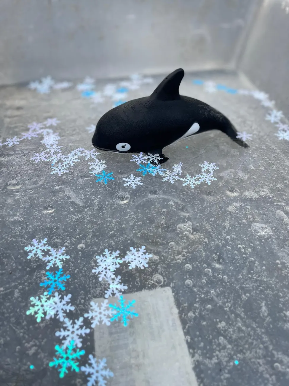 Gallery - created at 2025-01-17 17:01:34 - image 20