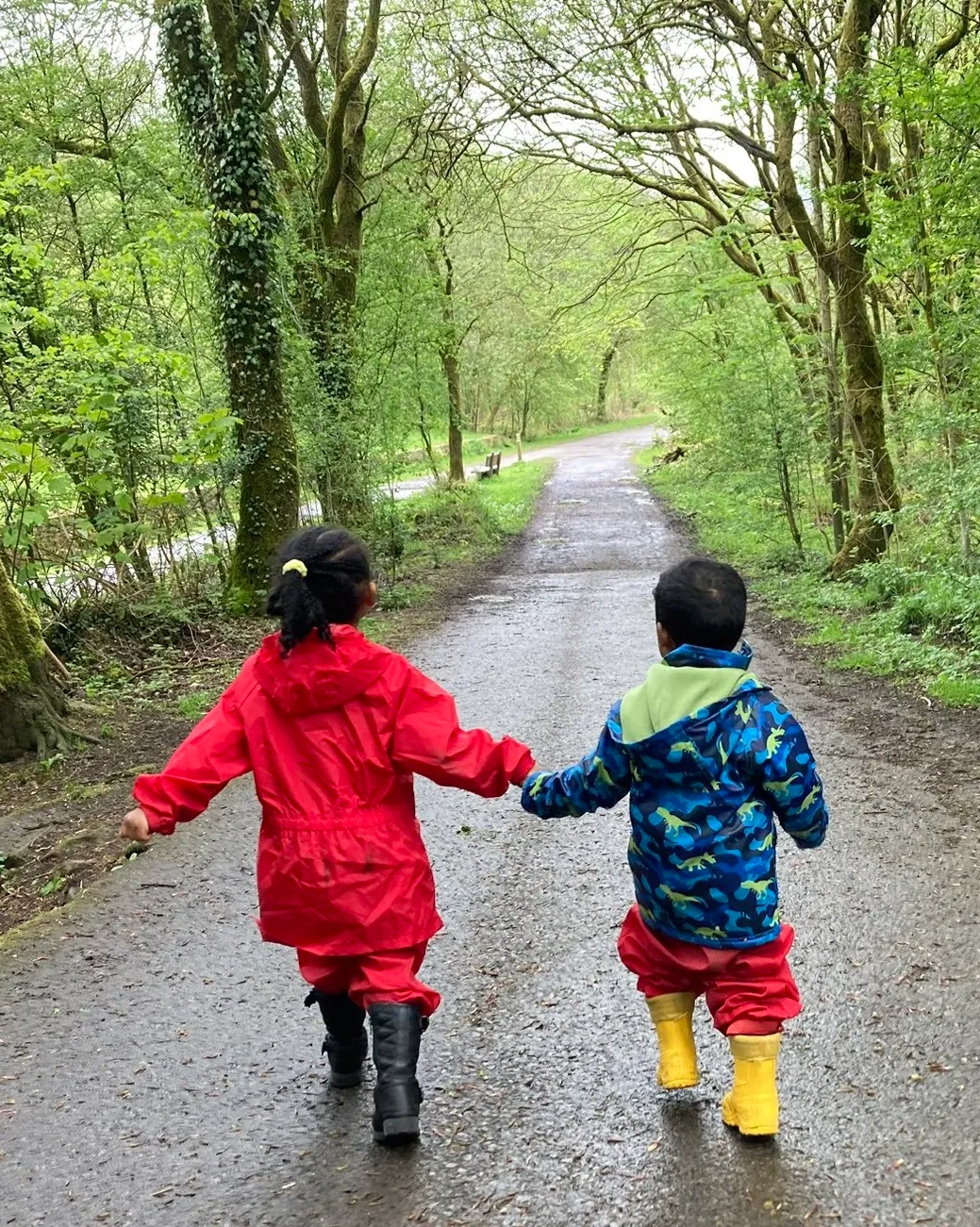 Healey Dell - image 2