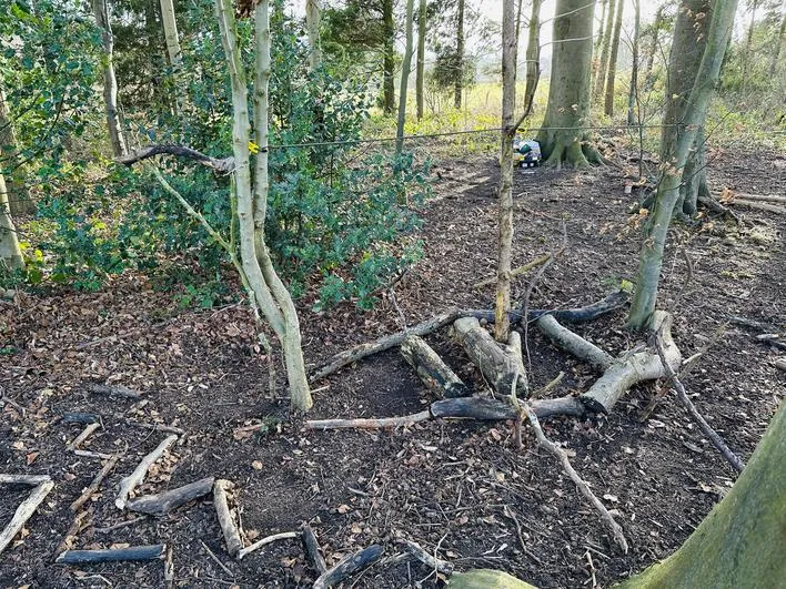 Spring 2023 - February 1st - Oaks - Viking Longboats - image 2 Spring 2023 - February 1st - Oaks - Viking Longboats - image 2