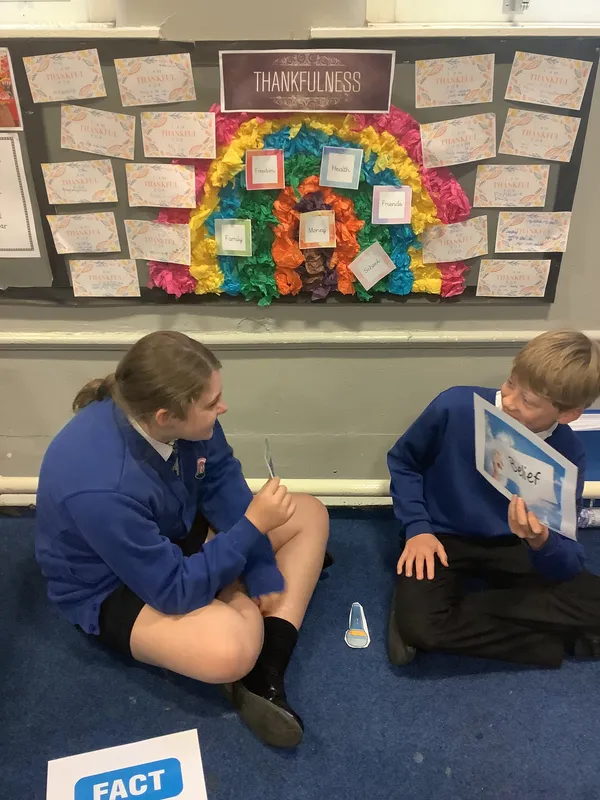 Y5 RE May - image 4
