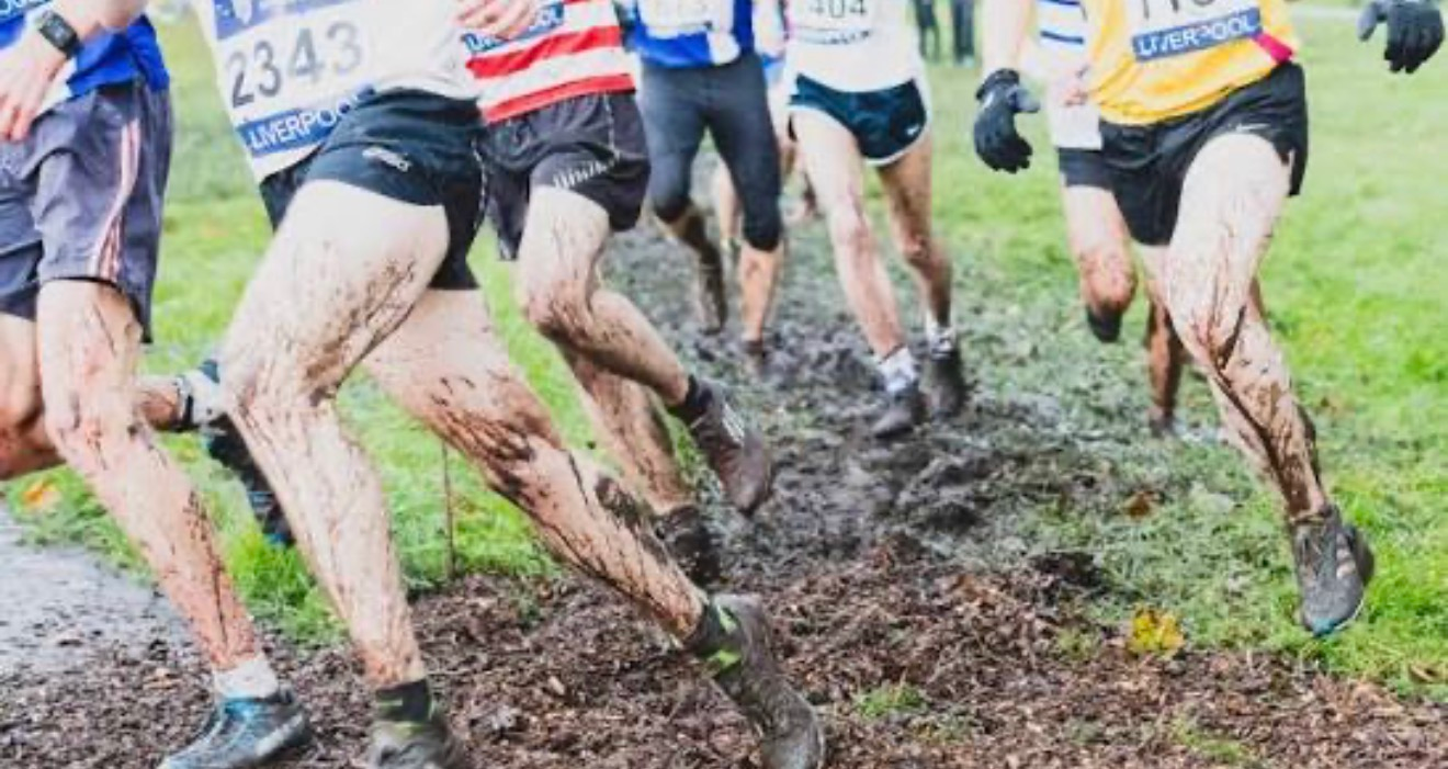 Trainers pob dydd / daily