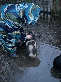 Day 2 more - image 54