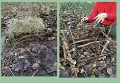 Forest School 84 - image 1 Forest School 84 - image 1