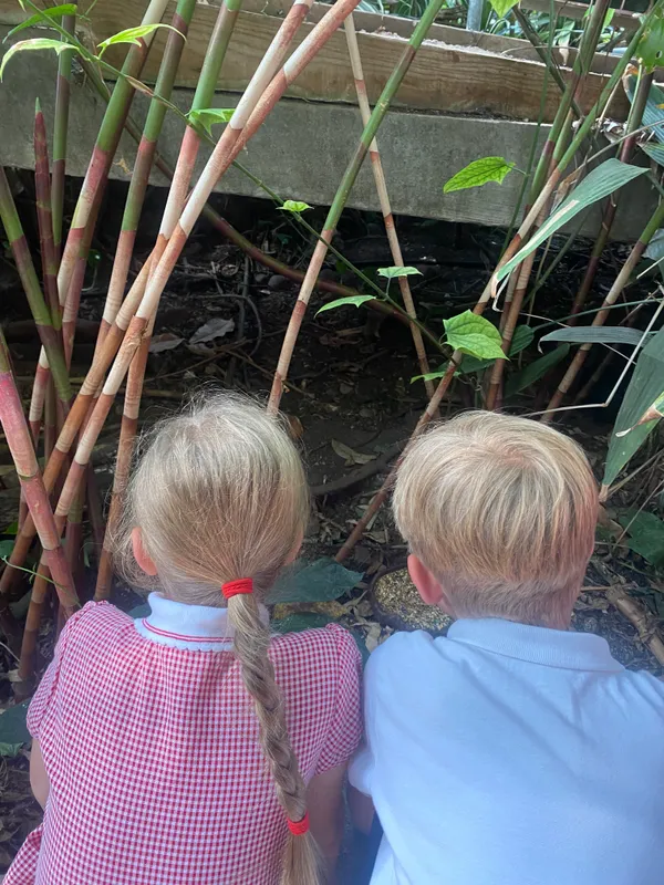 Gallery - created at 2025-06-20 13:57:48 - image 7