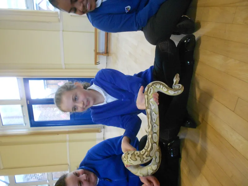 Y6 Reptile Rendezvous - image 51