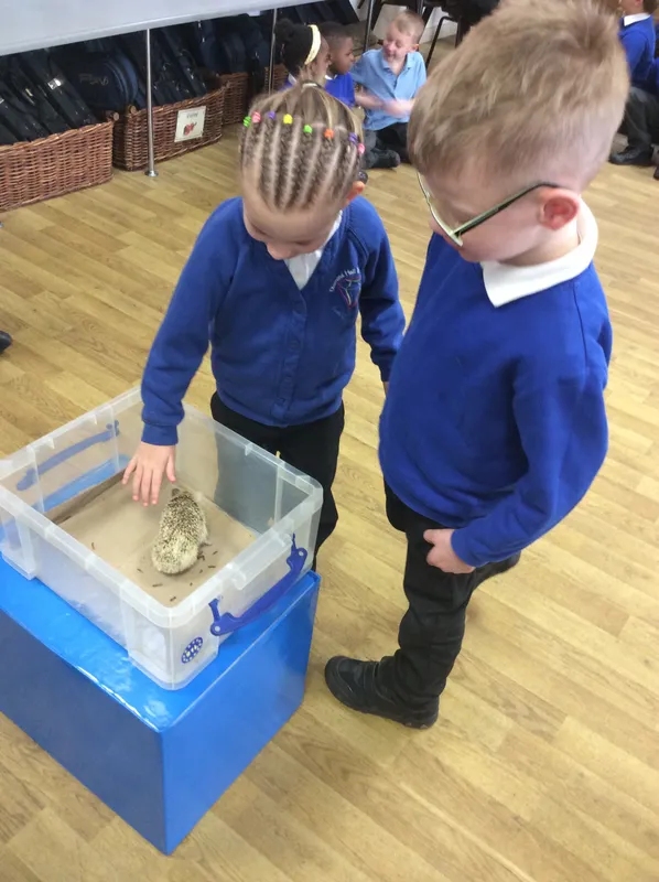 Gallery - created at 2024-03-05 13:52:56 - image 21 Gallery - created at 2024-03-05 13:52:56 - image 21