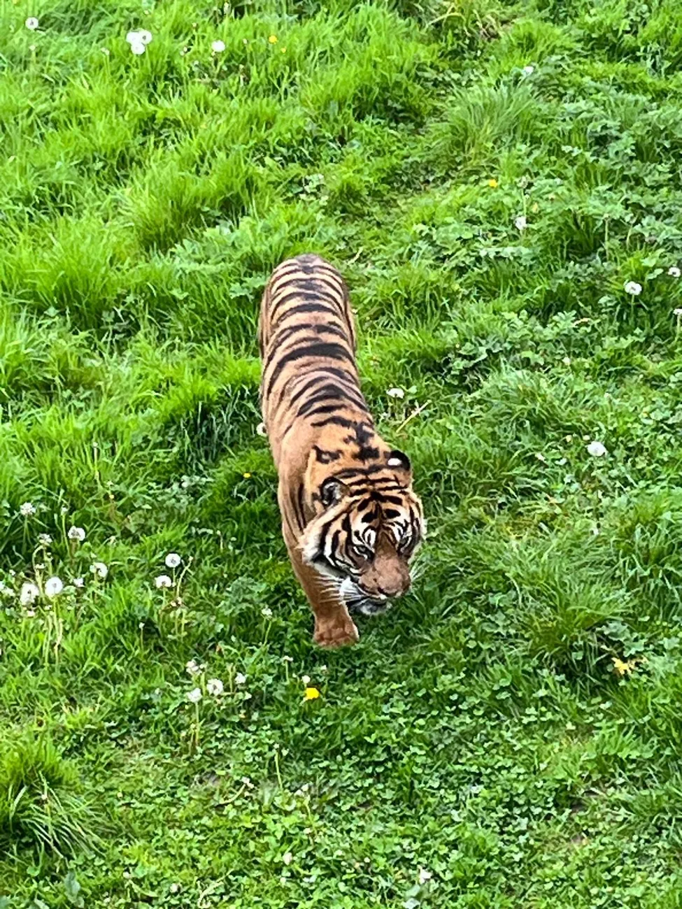 Gallery - created at 2024-06-06 15:03:55 - image 92