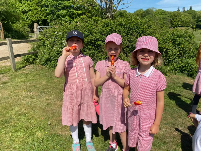 Gallery - created at 2025-05-03 18:55:25 - image 1