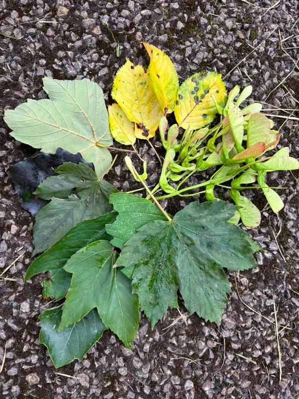 Gallery - created at 2024-09-16 22:00:17 - image 6 Gallery - created at 2024-09-16 22:00:17 - image 6