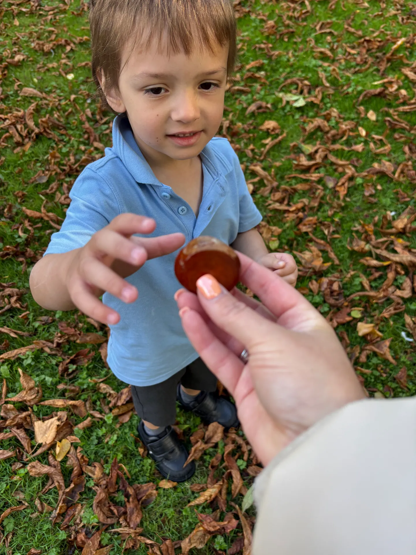 Autumn Walk and Church Visit  - image 15