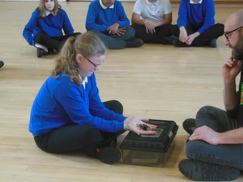 Y6 Reptile Rendezvous - image 17