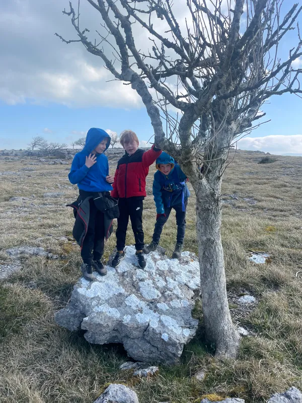 Gallery - created at 2023-05-02 18:29:02 - image 2