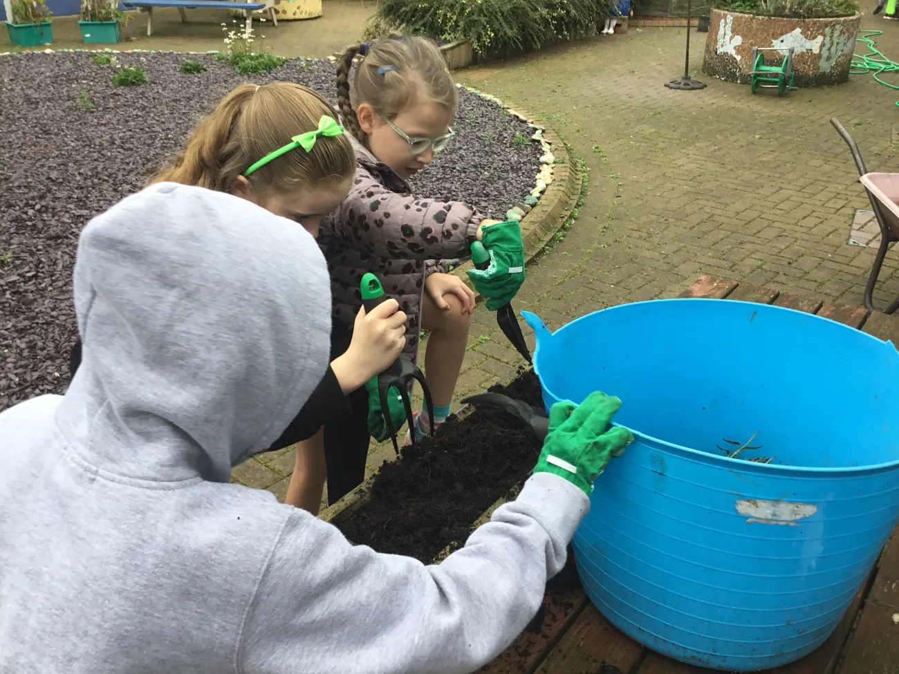 Gallery - created at 2021-11-08 14:16:02 - image 1