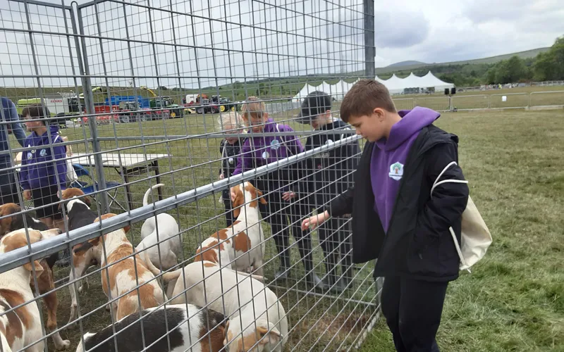 Gallery - created at 2025-06-06 10:40:13 - image 9 Gallery - created at 2025-06-06 10:40:13 - image 9