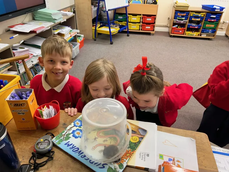 Gallery - created at 2024-04-26 14:31:01 - image 2