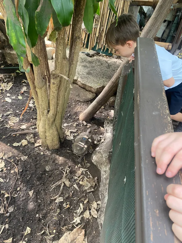 Gallery - created at 2025-06-20 13:57:48 - image 12