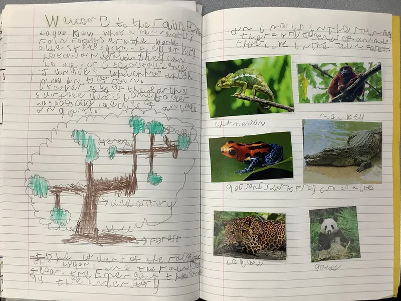 Gallery - created at 2021-04-26 21:31:33 - image 6 Gallery - created at 2021-04-26 21:31:33 - image 6