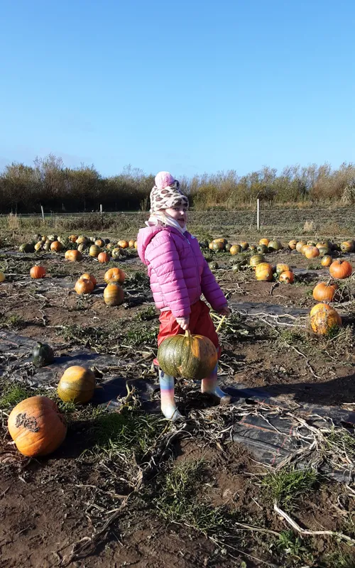 Gallery - created at 2024-10-25 14:50:36 - image 12 Gallery - created at 2024-10-25 14:50:36 - image 12