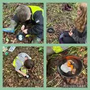 Forest School 36 - image 1 Forest School 36 - image 1