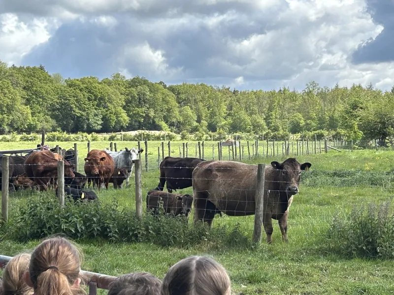 Blue Tin Visit  - image 18