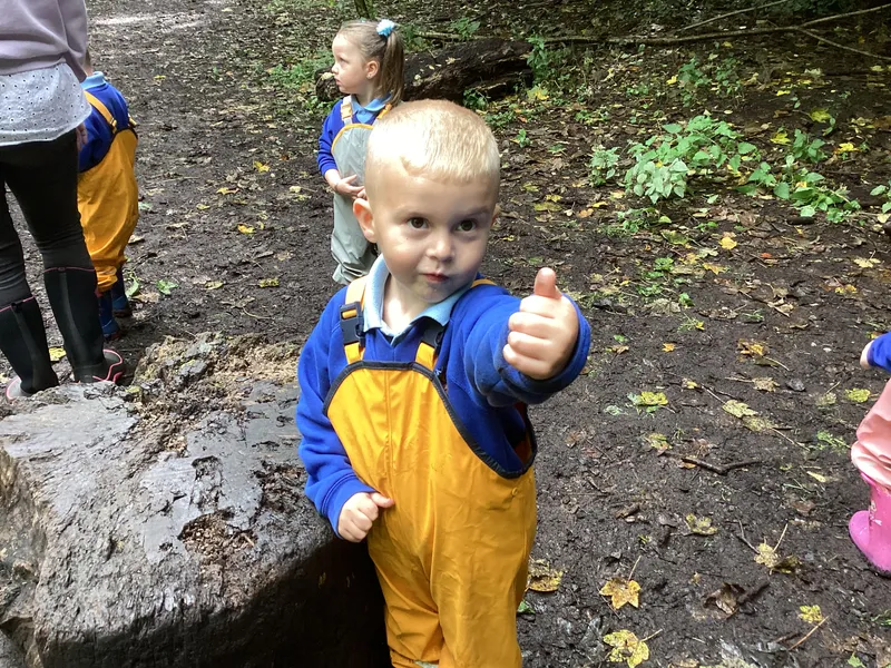Nursery Fun in the Woods - image 15 Nursery Fun in the Woods - image 15