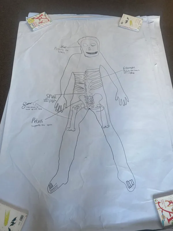 Gallery - created at 2025-02-28 13:33:25 - image 2