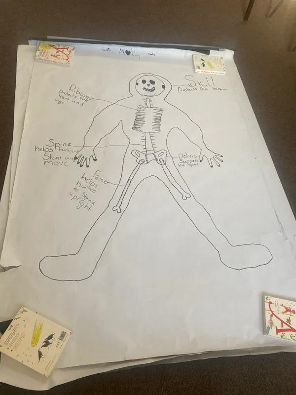 Gallery - created at 2025-02-28 13:33:25 - image 1