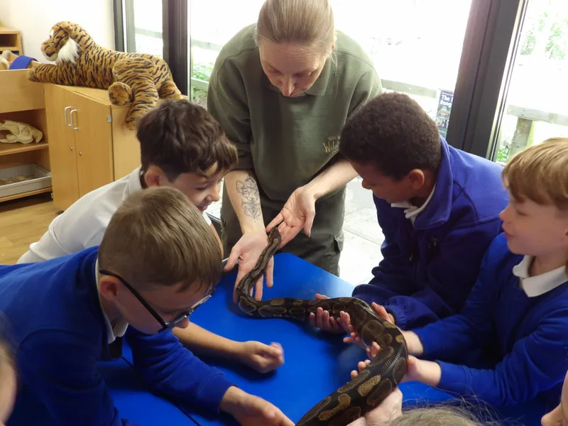 Y3 Yorkshire Wildlife Park Trip - image 57