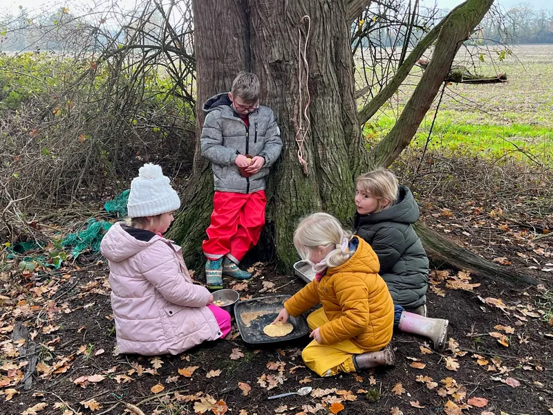 Gallery - created at 2022-12-06 12:52:57 - image 1