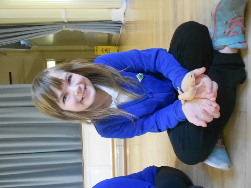 Y6 Reptile Rendezvous - image 45