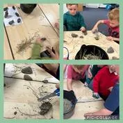 Forest School 29 - image 4 Forest School 29 - image 4