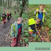 Forest School 42 - image 3 Forest School 42 - image 3