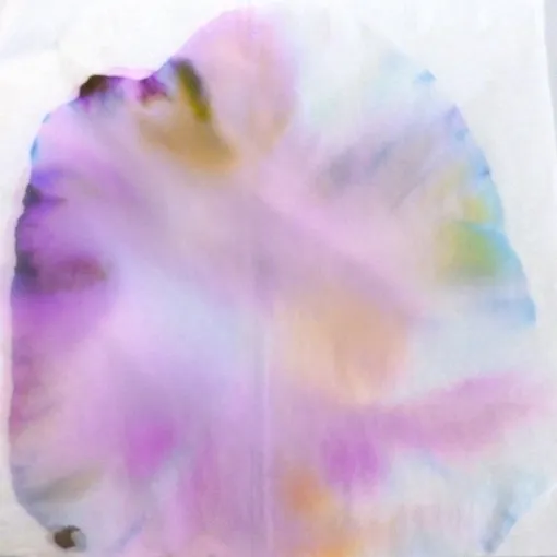 Gallery - created at 2018-07-15 07:58:48 - image 6 Gallery - created at 2018-07-15 07:58:48 - image 6