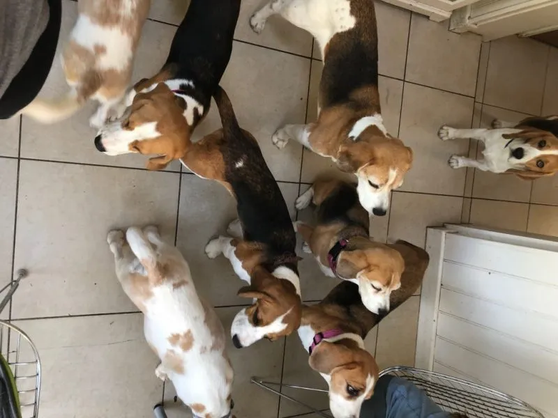 Our School - Bella 9 - image 3