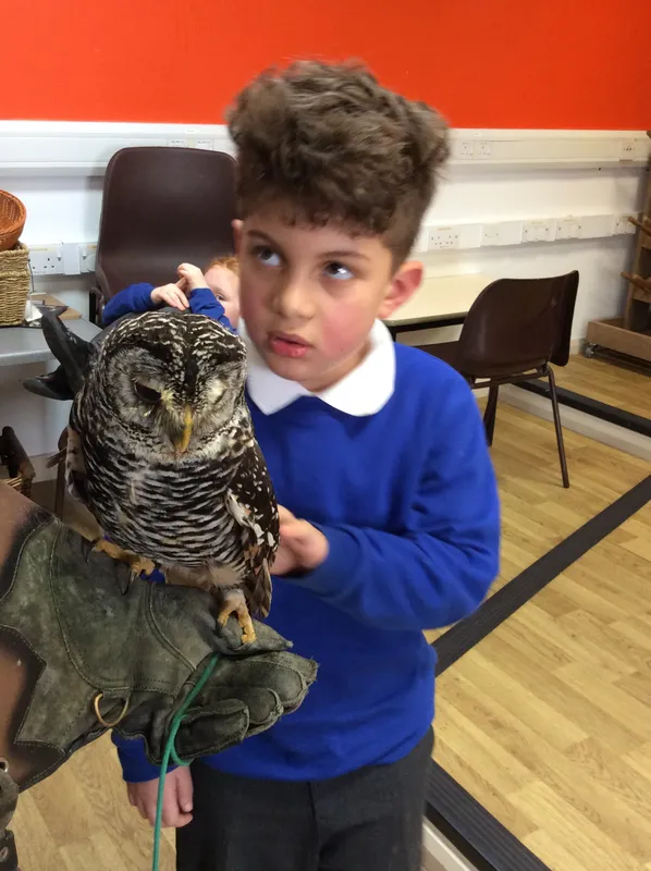 Gallery - created at 2024-02-26 17:15:57 - image 18 Gallery - created at 2024-02-26 17:15:57 - image 18